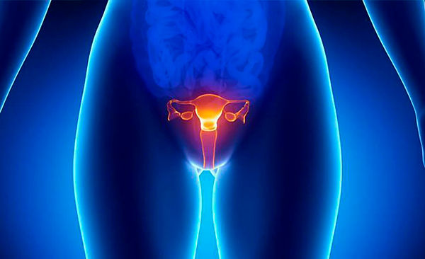 Fisioterapia en Santa Cruz de Tenerife — centro fisioterapia tenerife
